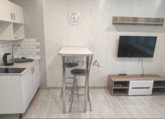 Продается квартира студия, 19.5 м2, Татарстан, переулок Шадрина, 2