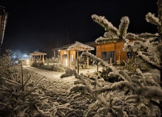 Аренда коттеджа, 55 м2, деревня Светлое, Сиреневая улица, 2