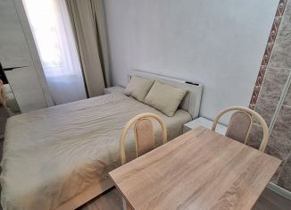 1-комнатная квартира в аренду, 21 м2, Пятигорск, проспект Калинина, 27к1