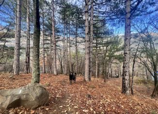 Продаю земельный участок, 6 сот., посёлок городского типа Виноградное, улица Красина
