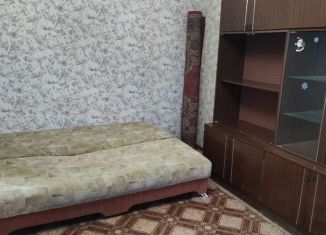 2-ком. квартира в аренду, 42 м2, Нижегородская область, улица Суворова, 32