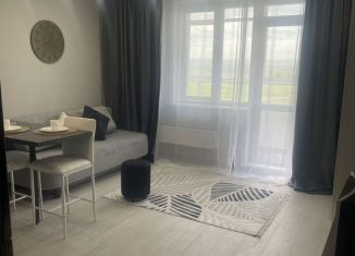 Сдается квартира студия, 32 м2, Сосновоборск, проспект Мира, 5