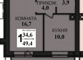 Однокомнатная квартира на продажу, 49.4 м2, деревня Дерябиха, деревня Дерябиха, 81