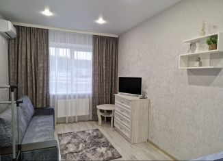 Сдается 1-ком. квартира, 33 м2, Павловск, микрорайон Южный, 10