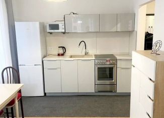 Однокомнатная квартира в аренду, 44 м2, Люберцы, Некрасовский проезд, 8, ЖК Люберцы 2018