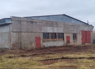 Продажа помещения свободного назначения, 700 м2, село Амзя, улица Азина, 4