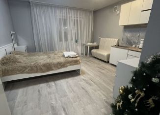 Сдается квартира студия, 32 м2, Стерлитамак, улица 7 Ноября, 5А