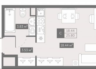 Продается квартира студия, 25.8 м2, Санкт-Петербург, Невский район