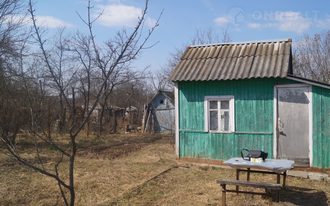 Купить Дачу В Фокино Брянской Области