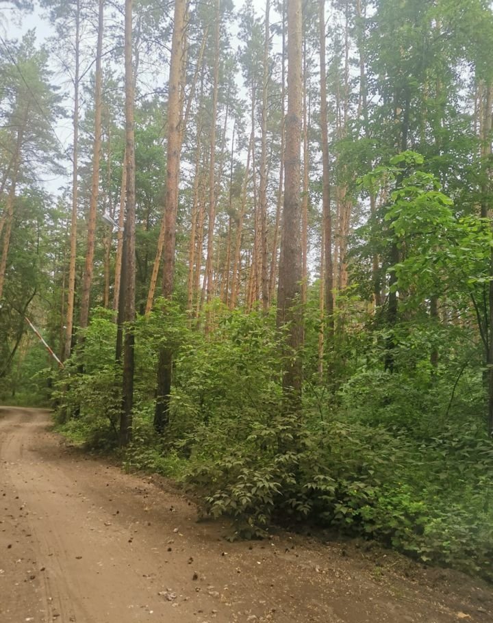 Красный Яр Ульяновская Область Купить