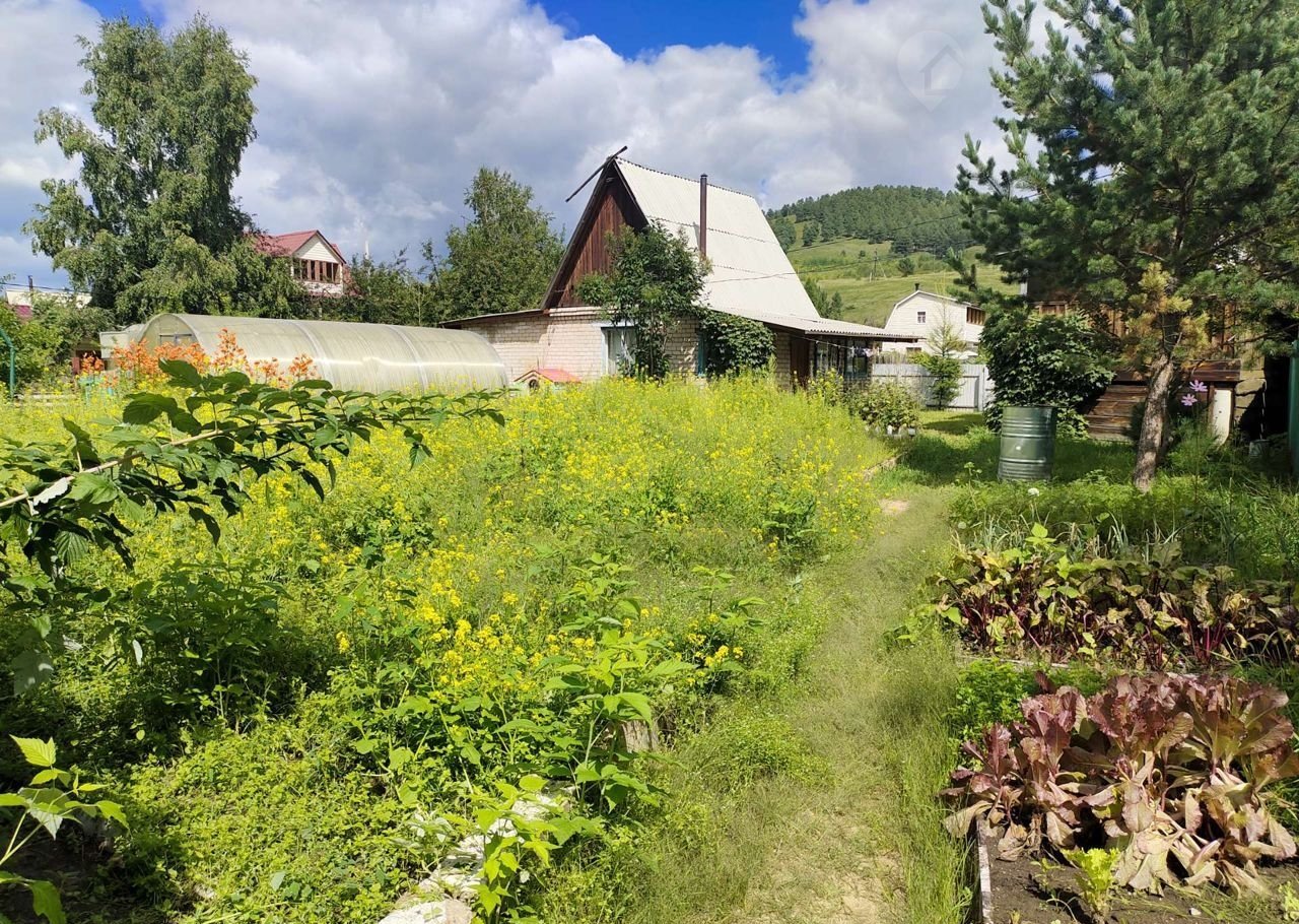 Купить Дачу В Чите Смоленка Лесовод