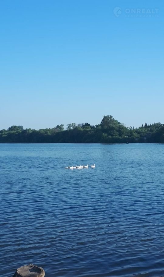 Село рыжевка курская область. Село Рыжевка. Рыжевка. Деревня Рыжевка Сумская область.