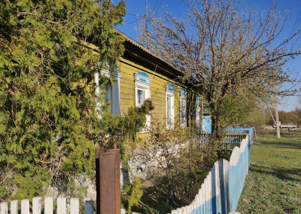 Село верхняя Добринка Волгоградская область Камышинский район. Село верхняя Добринка Волгоградская область Камышинский. Верхняя Добринка Камышинский район. Село верхняя Добринка Волгоградская область Жирновский район.